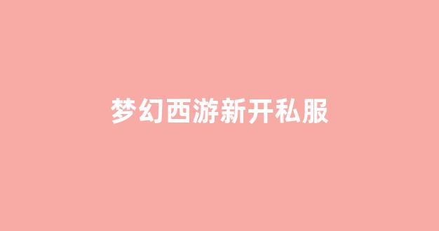 梦幻西游私发网
