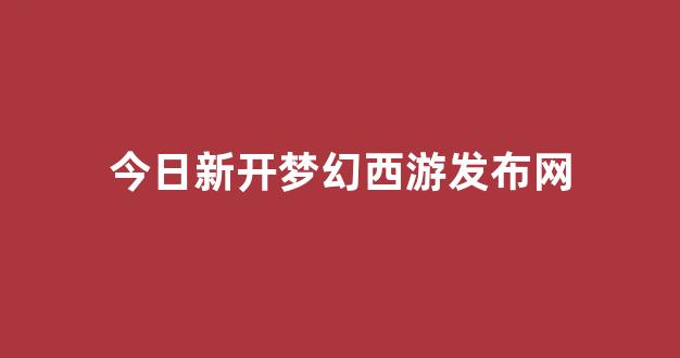 新开私服